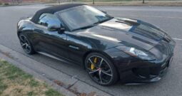 WhatsApp Image 2024-08-19 at 6.13.05 PM (5)