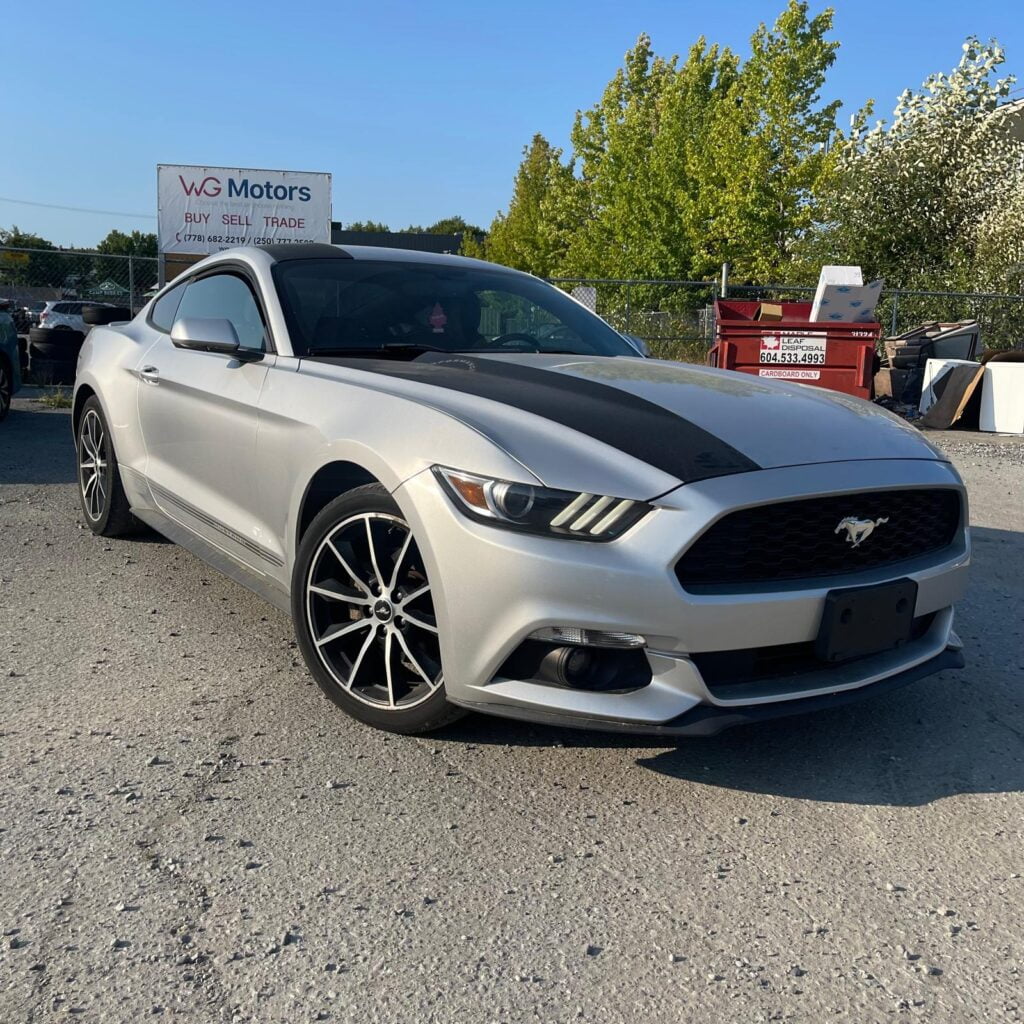 Ford Mustang Coupe used-cars-fr