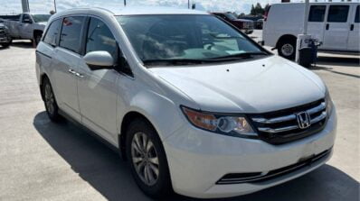 WhatsApp Image 2024-09-05 at 5.50.36 PM (2)