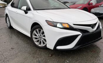 WhatsApp Image 2026-02-06 at 3.45.01 PM