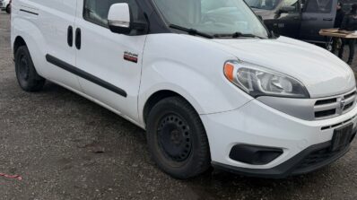 WhatsApp Image 2026-02-06 at 3.45.42 PM (1)