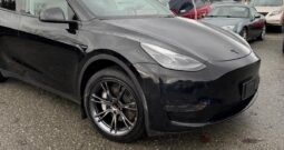 WhatsApp Image 2026-02-06 at 3.46.23 PM