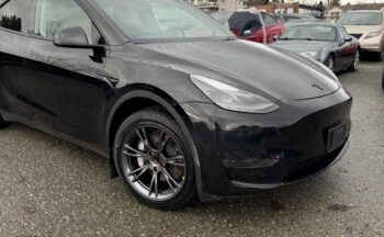 WhatsApp Image 2026-02-06 at 3.46.23 PM