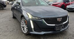 WhatsApp Image 2026-02-06 at 3.46.56 PM