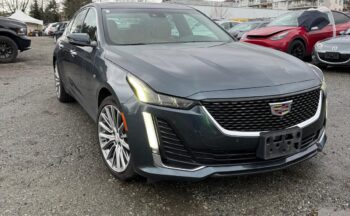 WhatsApp Image 2026-02-06 at 3.46.56 PM