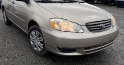 WhatsApp Image 2026-02-06 at 3.47.45 PM