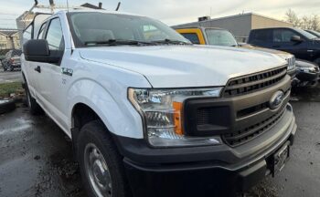 WhatsApp Image 2026-02-06 at 3.55.45 PM