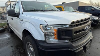 WhatsApp Image 2026-02-06 at 3.55.45 PM