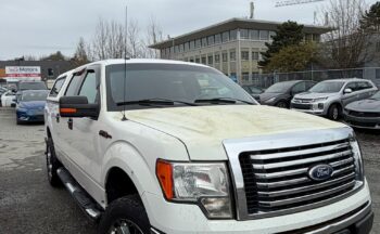 WhatsApp Image 2026-04-06 at 4.22.54 PM (1)