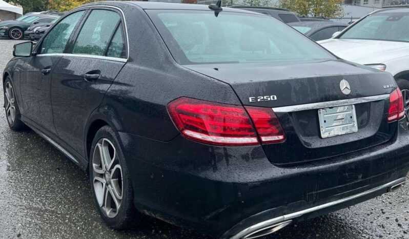 2014 Mercedes-Benz E-Class 4MATIC Diesel full