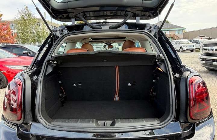 2019 MINI Cooper S 3 Door full