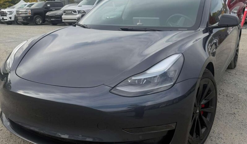 2022 Tesla Model 3 Standard Range full