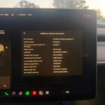 Tesla Model Y 2022 Sport Utility Vehicle [SUV]/Multipurpose Vehicle [MPV] photo 14